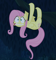 Size: 417x449 | Tagged: safe, screencap, fluttershy, pegasus, pony, sloth, 28 pranks later, solo, tree