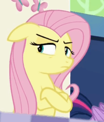 Size: 295x344 | Tagged: safe, screencap, fluttershy, pegasus, pony, 28 pranks later, annoyed, crossed hooves, cute, female, floppy ears, frown, glare, mare, peeved, shyabetes, solo