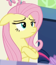 Size: 295x344 | Tagged: safe, screencap, fluttershy, pegasus, pony, 28 pranks later, crossed arms, cute, female, floppy ears, lidded eyes, mare, shyabetes, smiling, solo, unamused