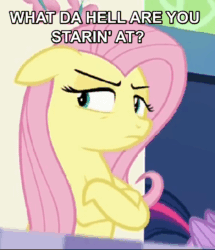 Size: 834x972 | Tagged: safe, screencap, fluttershy, pegasus, pony, duckman, female, solo