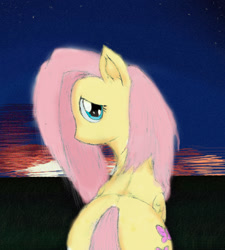 Size: 1078x1199 | Tagged: safe, artist:zzzyyxas, fluttershy, pegasus, pony, looking back, solo, sunrise