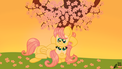 Size: 2560x1440 | Tagged: safe, artist:pastelhorses, butterscotch, fluttershy, pegasus, pony, cherry blossoms, female, flutterscotch, male, rule 63, self ponidox, selfcest, shipping, straight, sunset