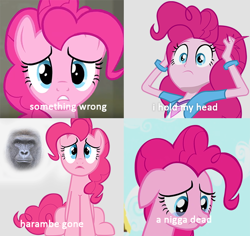 Size: 632x597 | Tagged: safe, edit, edited screencap, screencap, pinkie pie, gorilla, equestria girls, exploitable meme, floppy ears, frown, gritted teeth, harambe, image macro, kanye west, meme, parody, sad, sitting, text, vulgar, wide eyes