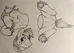 Size: 4360x3121 | Tagged: safe, artist:uliovka, big macintosh, pony, detachable head, disembodied head, half, headless, male, modular, pencil drawing, sketch, solo, stallion, traditional art