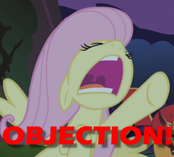 Size: 680x616 | Tagged: safe, edit, edited screencap, screencap, fluttershy, pegasus, pony, ace attorney, caption, image macro, meme, objection, reference, yelling