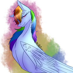 Size: 1024x1024 | Tagged: safe, artist:shimmer-fox, derpibooru import, rainbow dash, pegasus, pony, bust, female, folded wings, looking at you, mare, simple background, smiling, solo, transparent background, wings