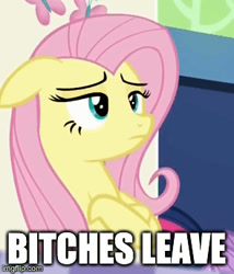 Size: 295x344 | Tagged: safe, fluttershy, pegasus, pony, 28 pranks later, clarence boddicker, image macro, meme, robocop, vulgar