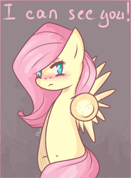 Size: 866x1176 | Tagged: safe, artist:pillow9, fluttershy, pegasus, pony, belly button, bipedal, breaking the fourth wall, cracks, looking at you, solo, speech