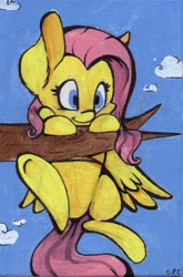 Size: 1360x2055 | Tagged: safe, artist:cutepencilcase, fluttershy, pegasus, pony, hang in there, solo, traditional art, tree branch