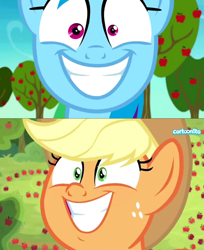 Size: 1106x1356 | Tagged: safe, derpibooru import, screencap, applejack, rainbow dash, earth pony, pegasus, pony, going to seed, grannies gone wild, apple tree, cartoonito logo, face, funny, smiling, tree