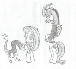 Size: 1280x1160 | Tagged: safe, artist:thekman100, discord, fluttershy, draconequus, pegasus, pony, leg swap, modular, partial body swap, pencil drawing, swap, tail swap, traditional art