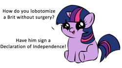 Size: 1194x668 | Tagged: safe, derpibooru import, twilight sparkle, pony, unicorn, debate in the comments, dialogue, exploitable meme, female, filly, filly twilight sparkle, filly twilight telling an offensive joke, horn, looking at you, meme, multicolored mane, multicolored tail, obligatory pony, purple coat, simple background, sitting, smiling, solo, talking to viewer, underhoof, united states, vulgar, white background