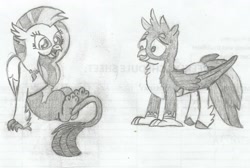 Size: 1613x1081 | Tagged: safe, artist:thekman100, gallus, silverstream, griffon, hippogriff, female, gallstream, half, jewelry, leg swap, male, modular, monochrome, necklace, partial body swap, pencil drawing, shipping, straight, swap, traditional art