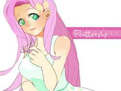 Size: 640x480 | Tagged: safe, artist:sasaki612, fluttershy, human, humanized, solo