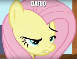 Size: 653x499 | Tagged: safe, edit, edited screencap, screencap, fluttershy, pegasus, pony, the hooffields and mccolts, dafuq, derp, image macro, meme, reaction image, solo