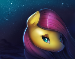 Size: 2200x1729 | Tagged: safe, artist:viwrastupr, fluttershy, pegasus, pony, bust, face, female, portrait, smiling, solo, stars