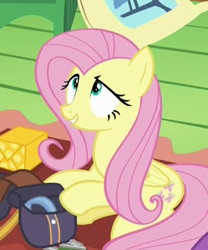 Size: 300x361 | Tagged: safe, screencap, fluttershy, pegasus, pony, dungeons and discords, solo