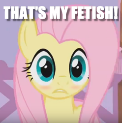 Size: 610x614 | Tagged: safe, fluttershy, pegasus, pony, blushing, cute, dazed, image macro, lip bite, meme, shyabetes, stare, that is my fetish