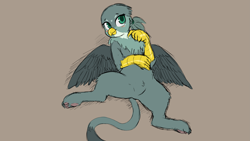 Size: 8107x4560 | Tagged: safe, artist:the-minuscule-task, derpibooru import, edit, gabby, griffon, absurd resolution, blushing, cute, explicit source, featureless crotch, female, lying down, on back, pointing, pubic fluff, sfw edit, solo, spread legs, spreading, wallpaper, wallpaper edit
