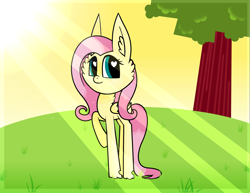 Size: 2132x1648 | Tagged: safe, artist:d3su-k4t, fluttershy, pegasus, pony, female, mare, pink mane, solo, yellow coat