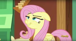 Size: 1436x784 | Tagged: safe, screencap, fluttershy, pegasus, pony, dungeons and discords, discovery family logo, face, lidded eyes, solo