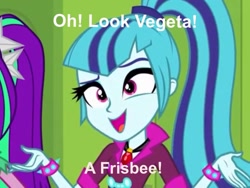 Size: 1024x768 | Tagged: safe, sonata dusk, equestria girls, rainbow rocks, dragonball z abridged, image macro, meme, sonappa, team four star