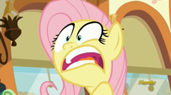 Size: 1669x926 | Tagged: safe, screencap, fluttershy, pegasus, pony, buckball season, faic