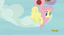 Size: 1277x709 | Tagged: safe, screencap, fluttershy, pegasus, pony, buckball season, cute, female, flutterbutt, mare, plot, shyabetes, solo