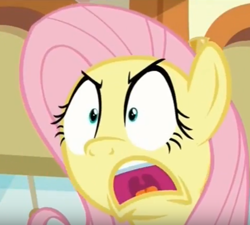 Size: 481x433 | Tagged: safe, screencap, fluttershy, pegasus, pony, buckball season, cropped, out of context, out of context face, reaction image