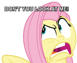 Size: 886x731 | Tagged: safe, fluttershy, pegasus, pony, buckball season, angry, caption, image macro, solo, text