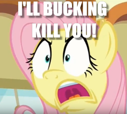 Size: 481x433 | Tagged: safe, edit, edited screencap, screencap, fluttershy, pegasus, pony, buckball season, angry, caption, death threat, flutterrage, image macro, meme, threat