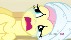 Size: 642x360 | Tagged: safe, screencap, fluttershy, pegasus, pony, filli vanilli, crying, cute, female, mare, open mouth, sad, shyabetes