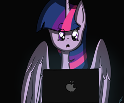 Size: 1024x853 | Tagged: safe, artist:lrusu, derpibooru import, twilight sparkle, twilight sparkle (alicorn), alicorn, pony, computer, female, laptop computer, mare