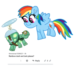 Size: 1080x1061 | Tagged: safe, artist:chespinfan, derpibooru import, rainbow dash, tank, pegasus, pony, tortoise, duo, female, male, mare, requested art, simple background, smiling, white background