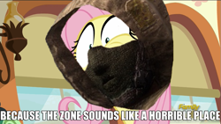 Size: 853x480 | Tagged: safe, edit, edited screencap, screencap, fluttershy, pegasus, pony, buckball season, impact font, reference, s.t.a.l.k.e.r., solo