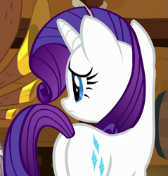 Size: 685x718 | Tagged: safe, screencap, rarity, pony, unicorn, yakity-sax, cropped, female, mare, plot, solo