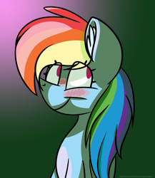 Size: 2600x3000 | Tagged: safe, artist:chipwanderer, derpibooru import, rainbow dash, pegasus, pony, blushing, bust, high res, portrait, solo