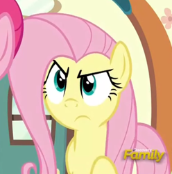 Size: 416x419 | Tagged: safe, screencap, fluttershy, pegasus, pony, buckball season, discovery family logo, solo