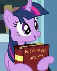 Size: 453x567 | Tagged: safe, derpibooru import, edit, twilight sparkle, book, solo, vulgar