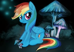 Size: 2048x1447 | Tagged: safe, artist:fauxven, derpibooru import, rainbow dash, pegasus, pony, female, mare, mushroom, solo