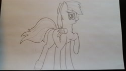 Size: 3264x1836 | Tagged: safe, artist:firestarter, derpibooru import, rainbow dash, pegasus, pony, looking at you, monochrome, rear view, sketch, traditional art