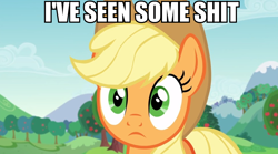 Size: 952x528 | Tagged: safe, screencap, applejack, earth pony, pony, the mane attraction, i've seen some shit, image macro, meme, reaction image, vulgar