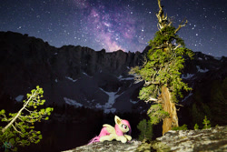 Size: 2500x1667 | Tagged: safe, artist:lanacraft, artist:natureshy, derpibooru import, fluttershy, bat pony, california, equestria: into the wild, flutterbat, hiking, irl, milky way galaxy, mountain, mountain range, nature, night, photo, photography, plushie, ponies around the world, race swap, scenery, solo, stars, wallpaper