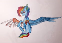 Size: 2560x1808 | Tagged: safe, artist:rainbowmoron, derpibooru import, rainbow dash, pegasus, pony, amputee, artificial wings, augmented, prosthetic limb, prosthetic wing, prosthetics, solo, traditional art, wings