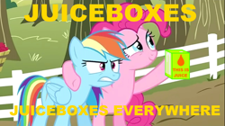 Size: 1050x590 | Tagged: safe, derpibooru import, edit, edited screencap, screencap, pinkie pie, rainbow dash, earth pony, pegasus, pony, the super speedy cider squeezy 6000, 2012, bipedal, dexterous hooves, hoof hold, juice, juice box, meme, text, x x everywhere