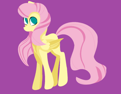 Size: 928x725 | Tagged: safe, artist:roxybrett, fluttershy, pegasus, pony, flat colors, folded wings, looking at you, open mouth, simple background, solo, standing