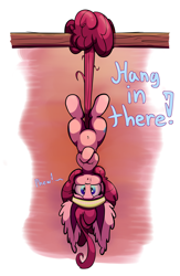 Size: 1500x2300 | Tagged: safe, artist:heir-of-rick, pinkie pie, earth pony, pony, belly button, big ears, cute, diapinkes, ear fluff, hang in there, hanging, impossibly large ears, prehensile tail, solo, sweat, sweatband, upside down