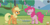 Size: 884x449 | Tagged: safe, screencap, applejack, pinkie pie, earth pony, pony, the mane attraction, height difference, measurements, tall