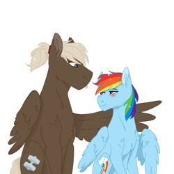 Size: 1000x1000 | Tagged: safe, artist:xsugarxwolfiex, derpibooru import, dumbbell, rainbow dash, pegasus, pony, blushing, chest fluff, dumbdash, ear fluff, female, looking at each other, male, mare, one wing out, shipping, simple background, sitting, stallion, straight, tongue out, white background, wings