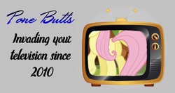 Size: 1400x750 | Tagged: safe, fluttershy, pegasus, pony, female, mare, meme, plot, television